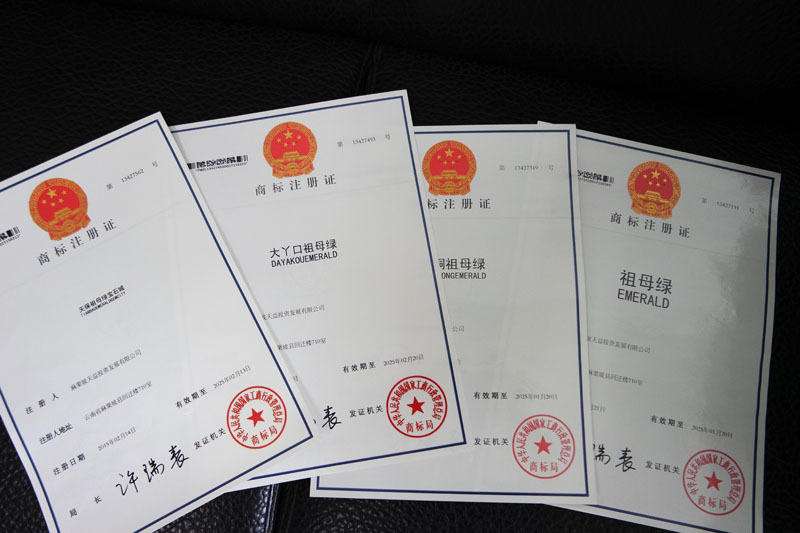 商標(biāo)證書丟了怎么補辦（商標(biāo)證書補辦流程大全）